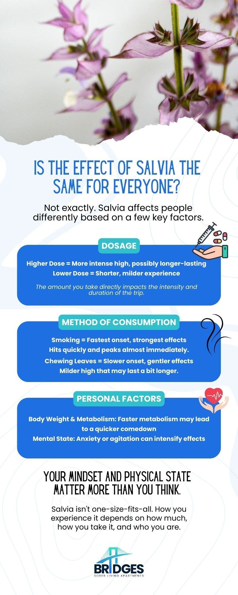 Is the effect of Salvia the same on everyone